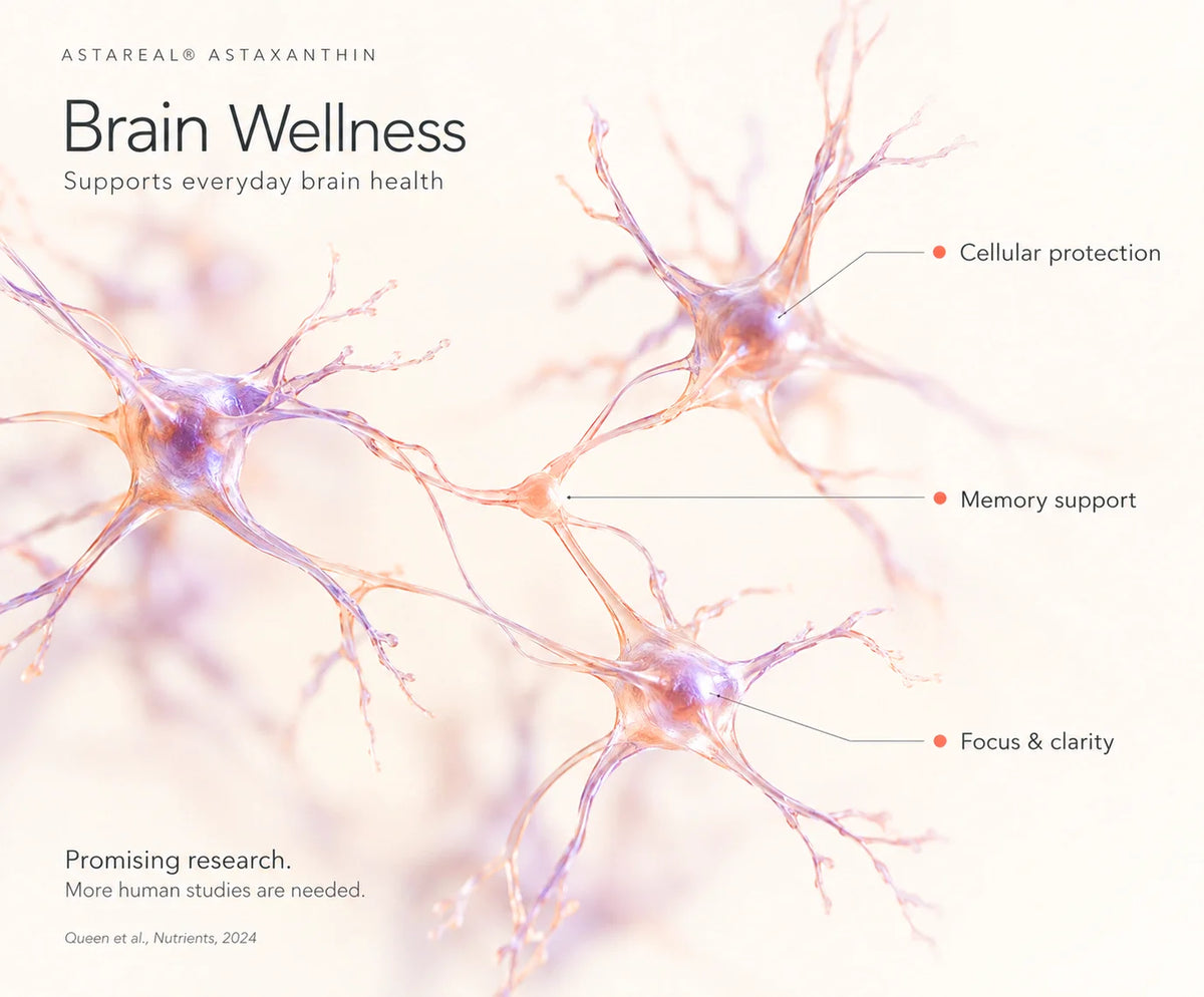 Brain Wellness