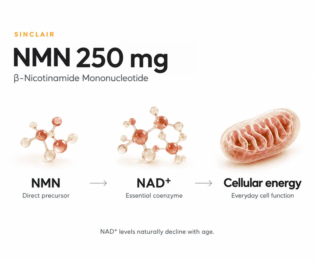 β-Nicotinamide Mononucleotide (NMN) – 250 mg 