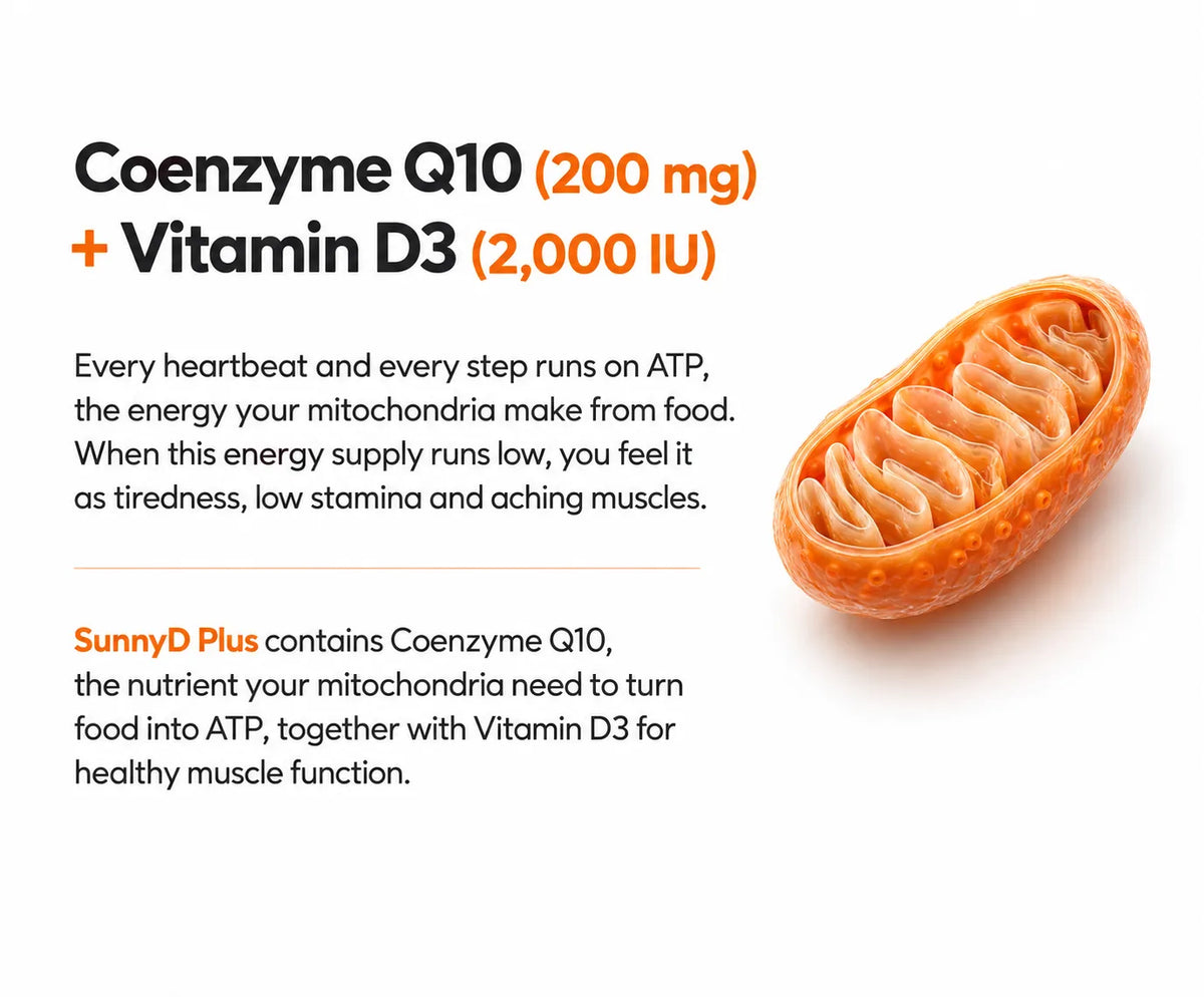 Coenzyme Q10 (200 mg) + Vitamin D3 (2,000 IU )