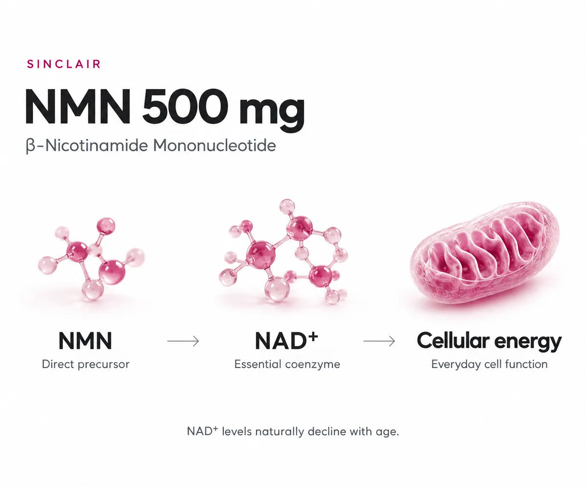β-Nicotinamide Mononucleotide (NMN) – 500 mg 