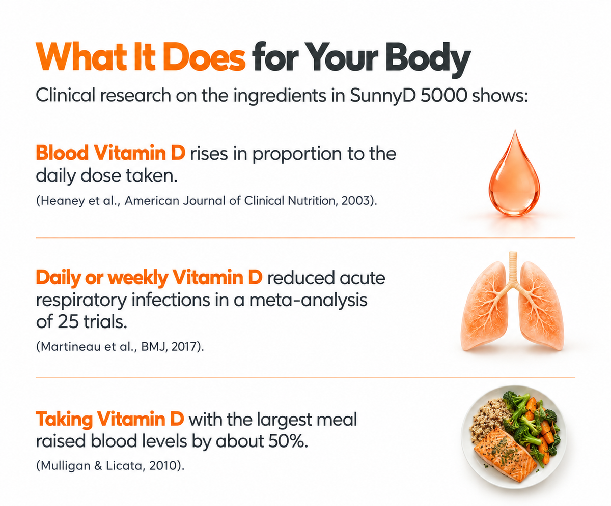 How SunnyD 5000 Works 