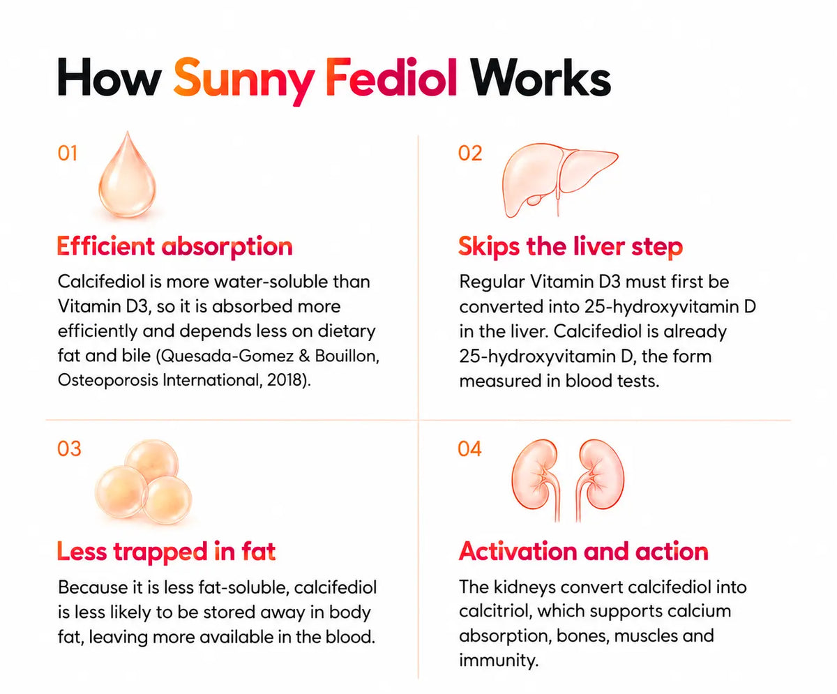 How Sunny Fediol Works