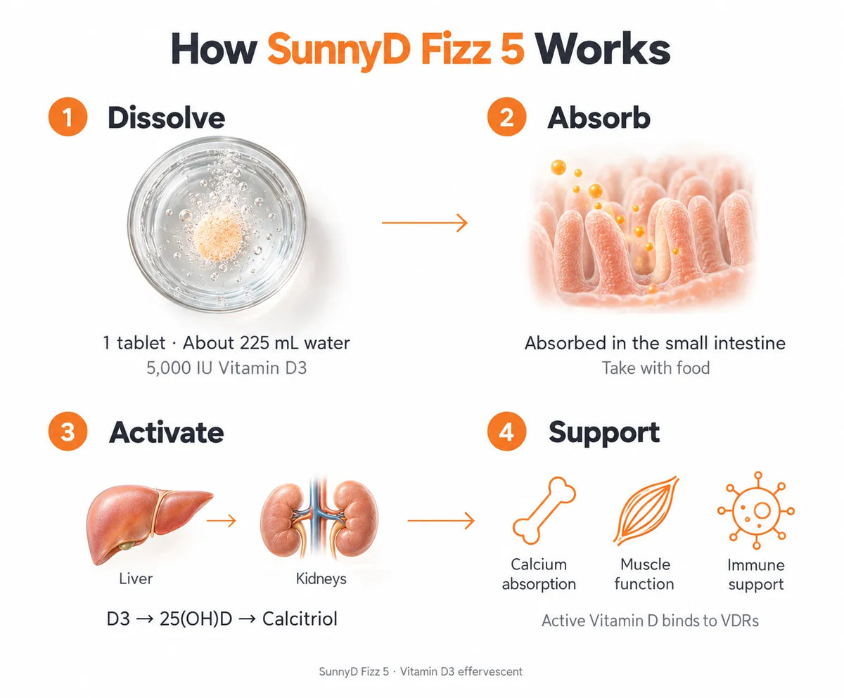 How SunnyD Fizz 5 Works