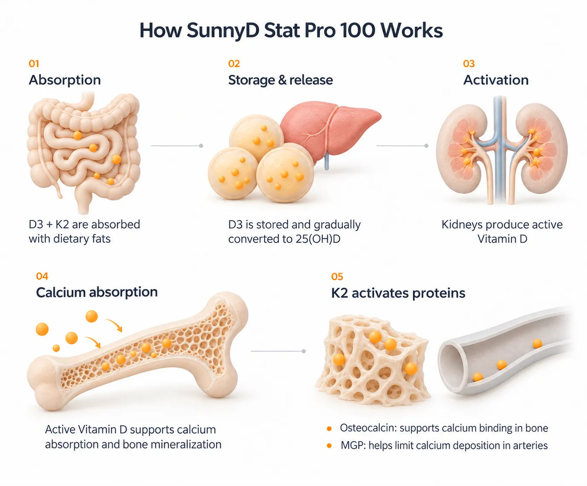 How SunnyD Stat Pro 100 Works