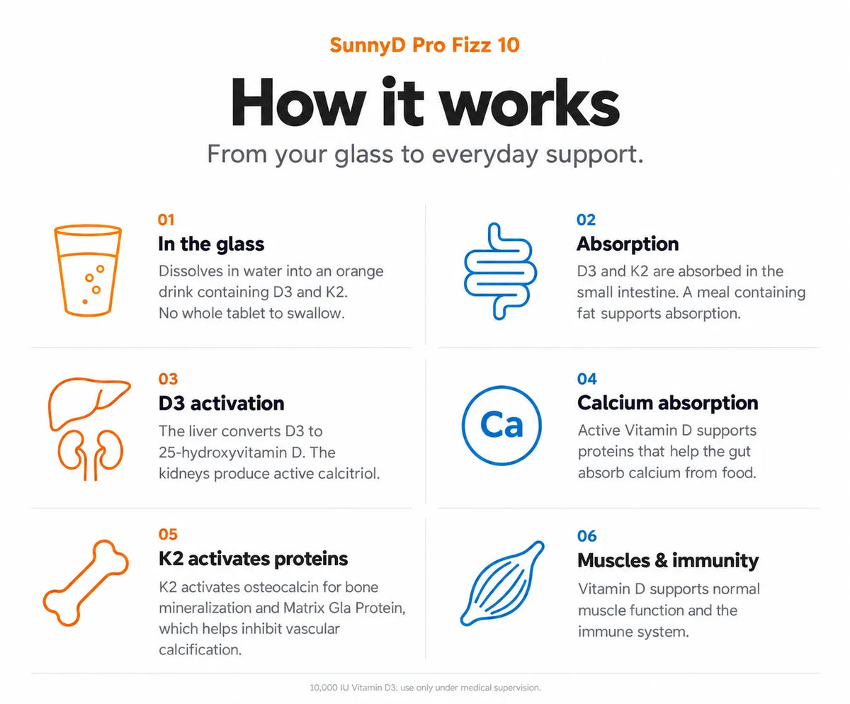 How SunnyD Pro Fizz 10 Works 