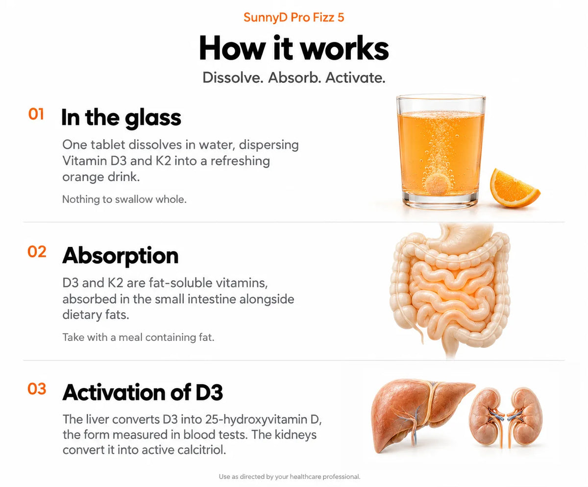 How SunnyD Pro Fizz 5 Works 