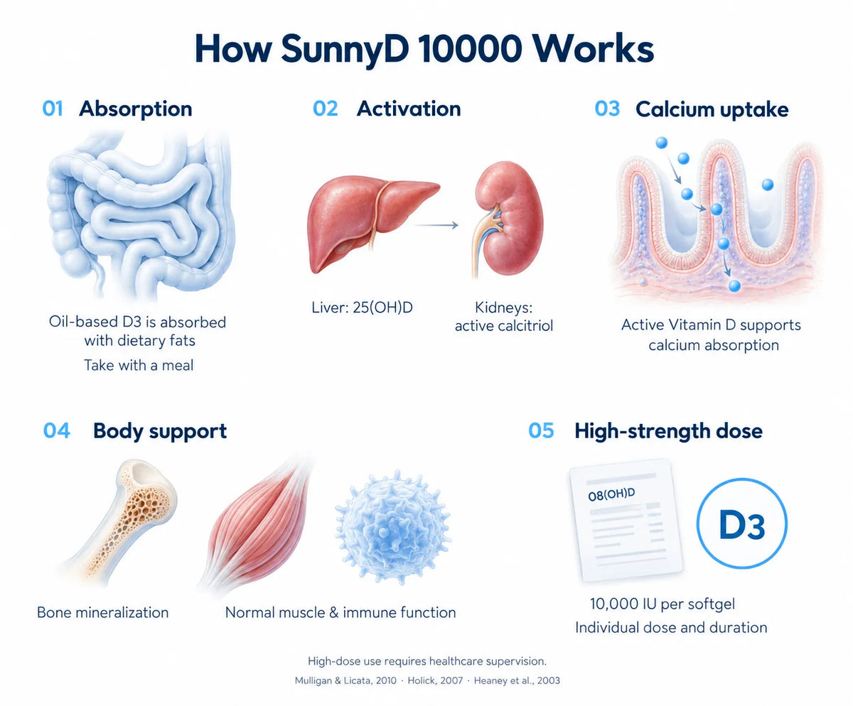 How SunnyD 10000 Works