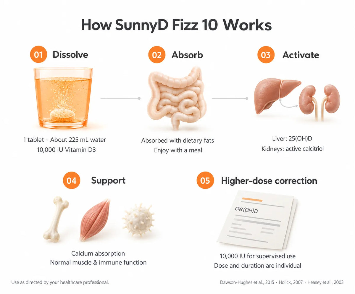 How SunnyD Fizz 10 Works 