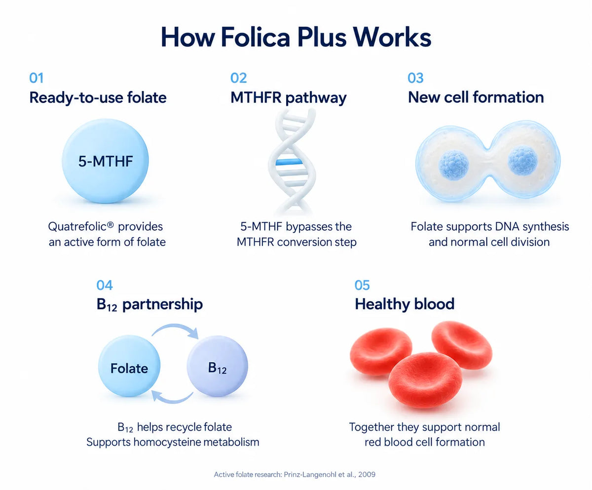 How Folica Plus Works