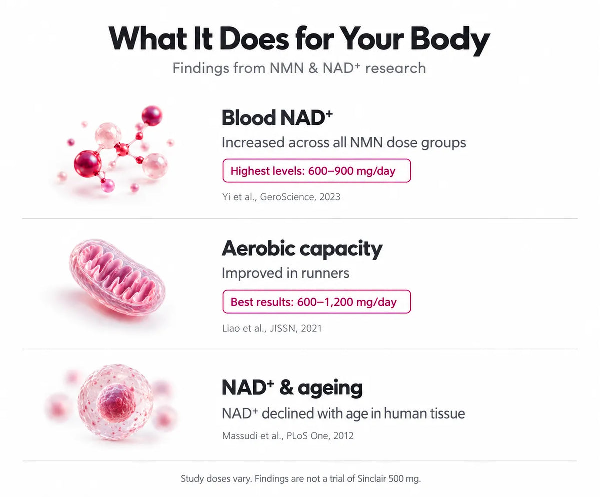 What It Does for Your Body 