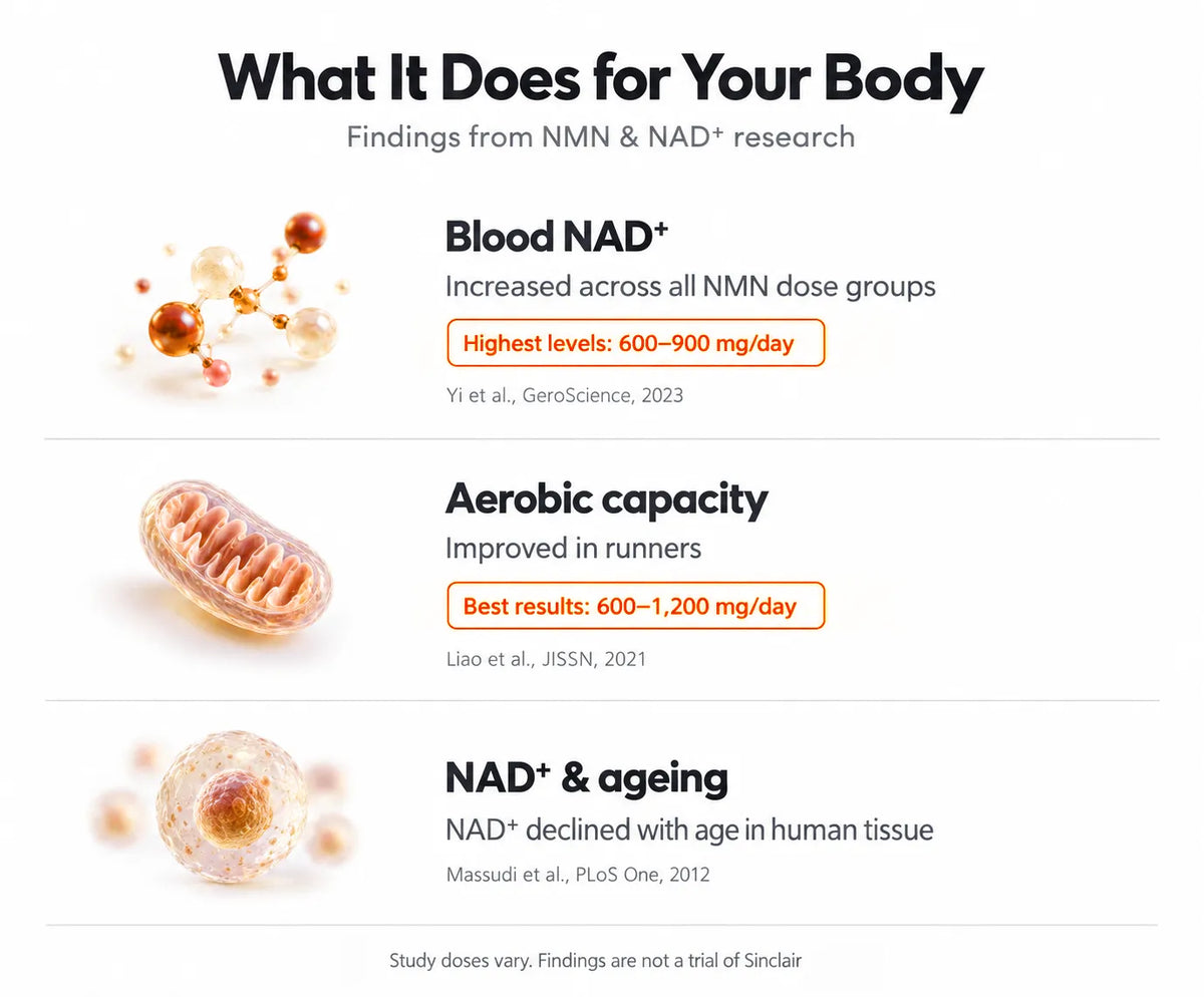 What It Does for Your Body 