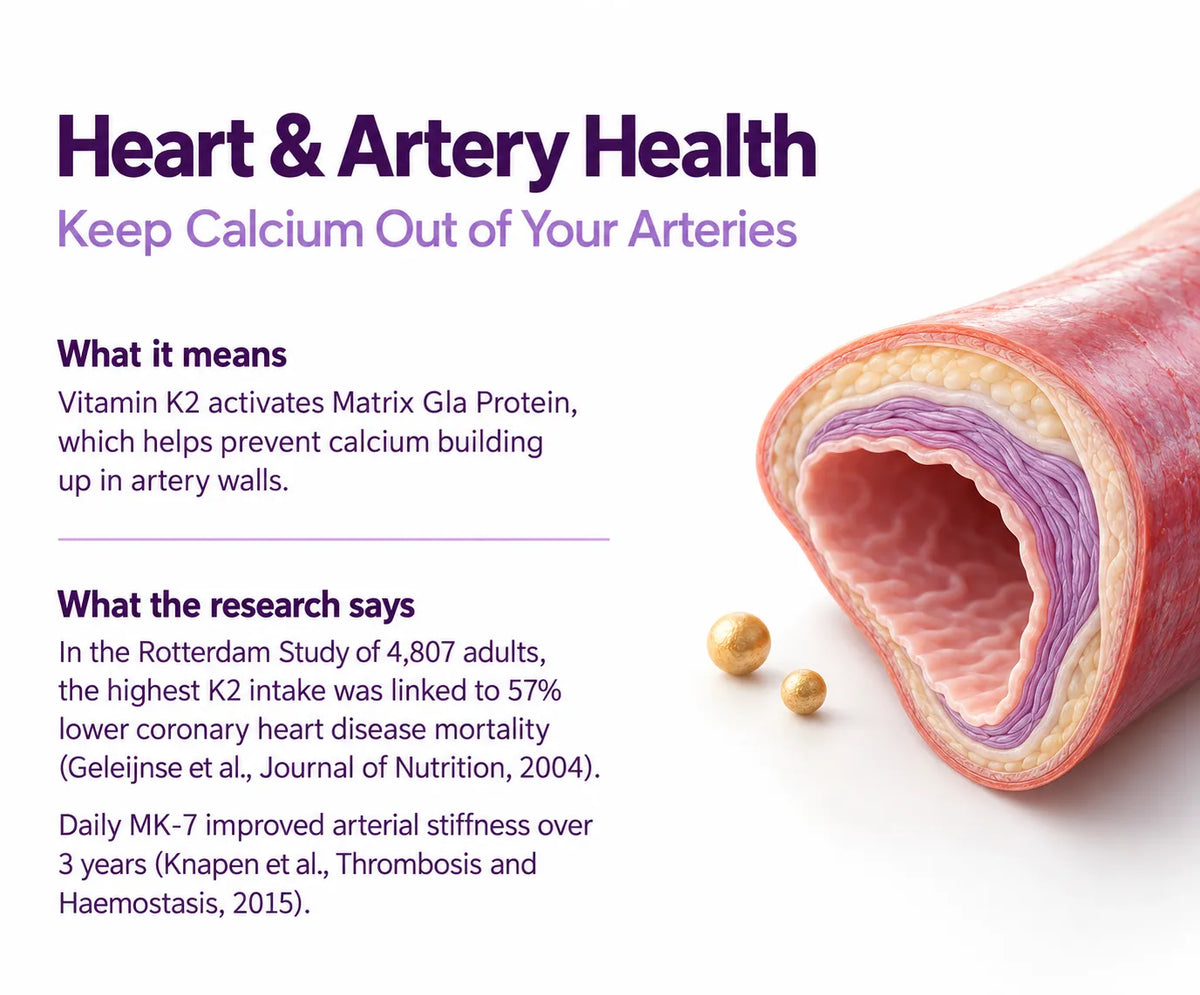 Heart & Artery Health