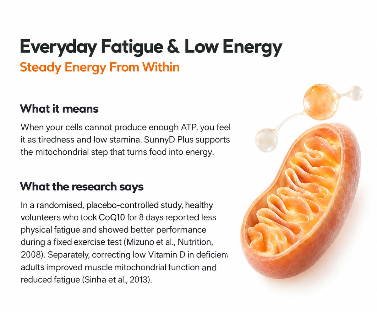 Everyday Fatigue & Low Energy