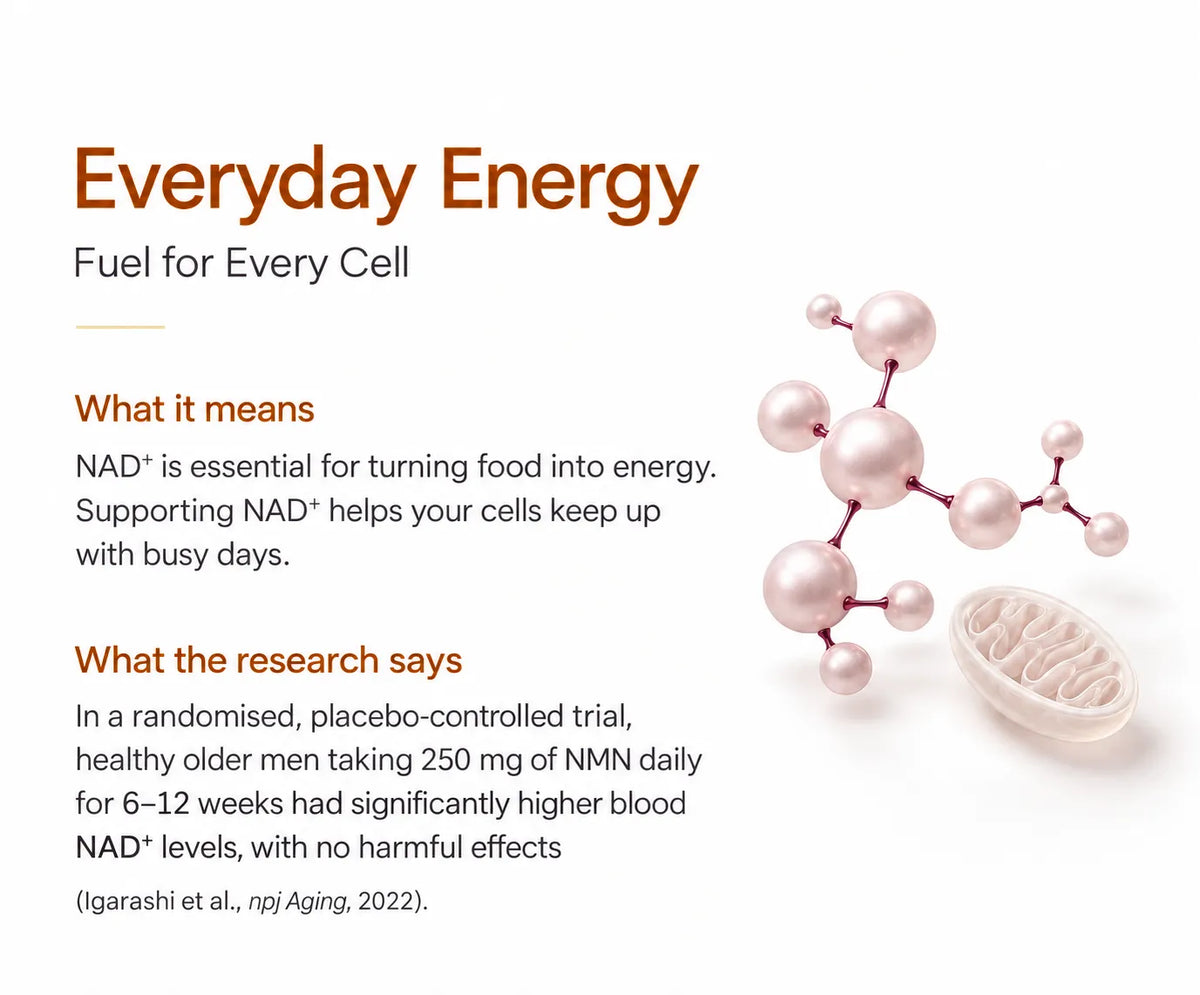 Everyday Energy
