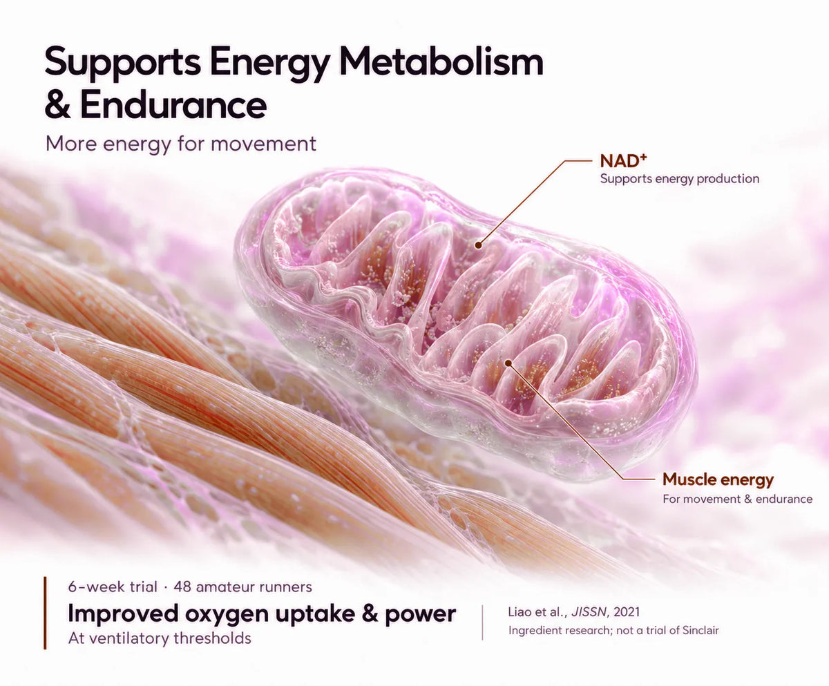 Healthy Metabolism