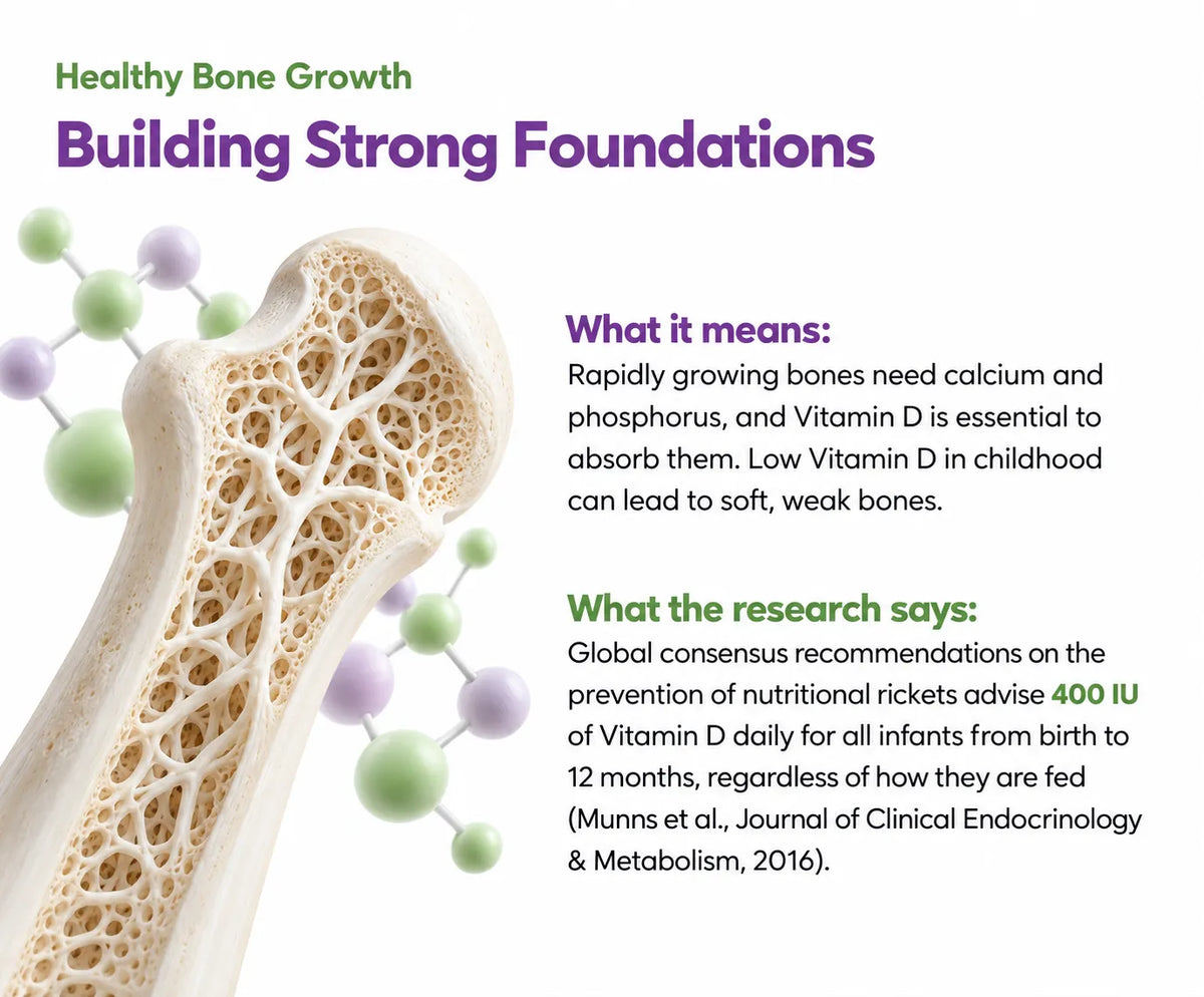 Healthy Bone Growth