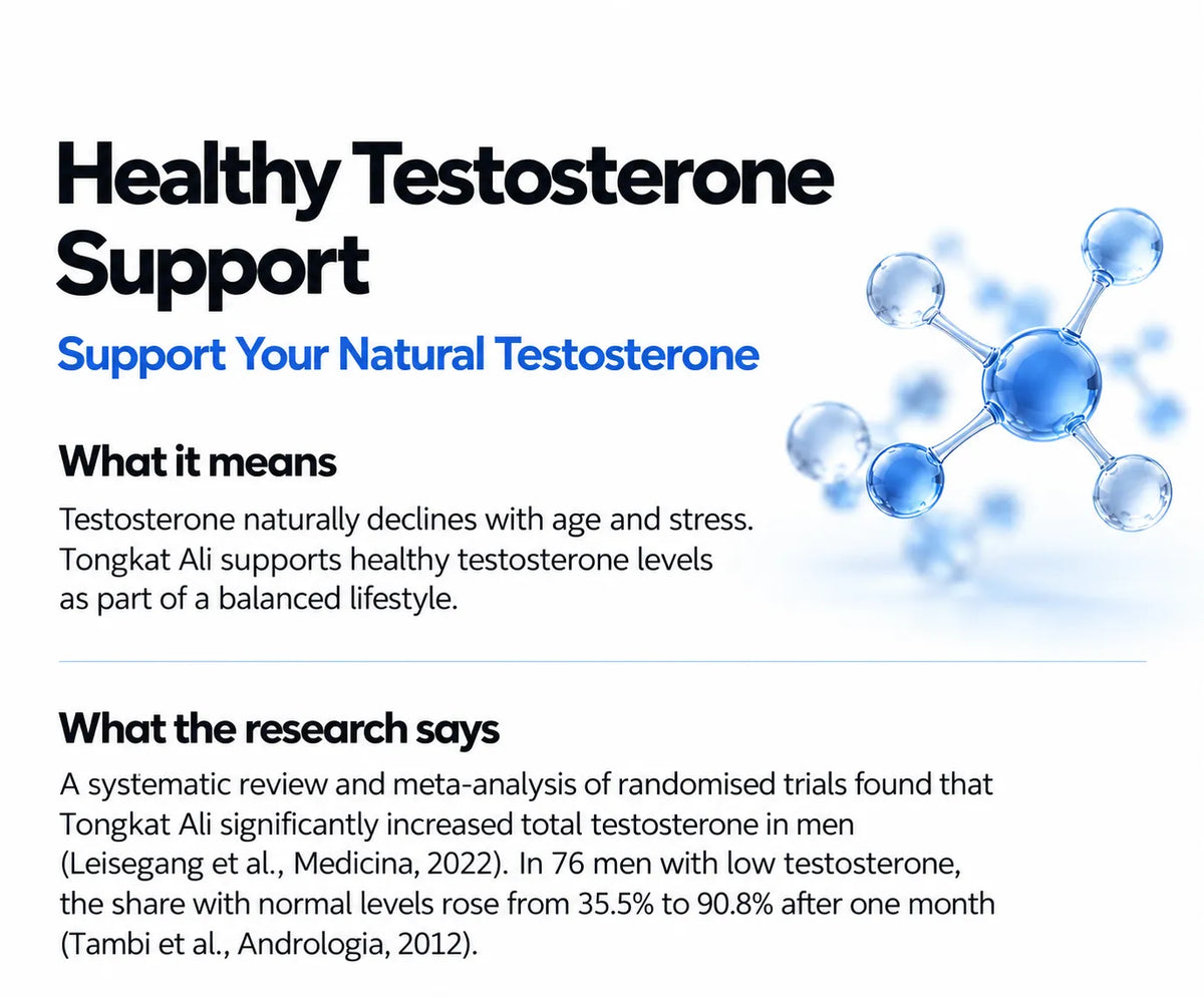 Healthy Testosterone Support