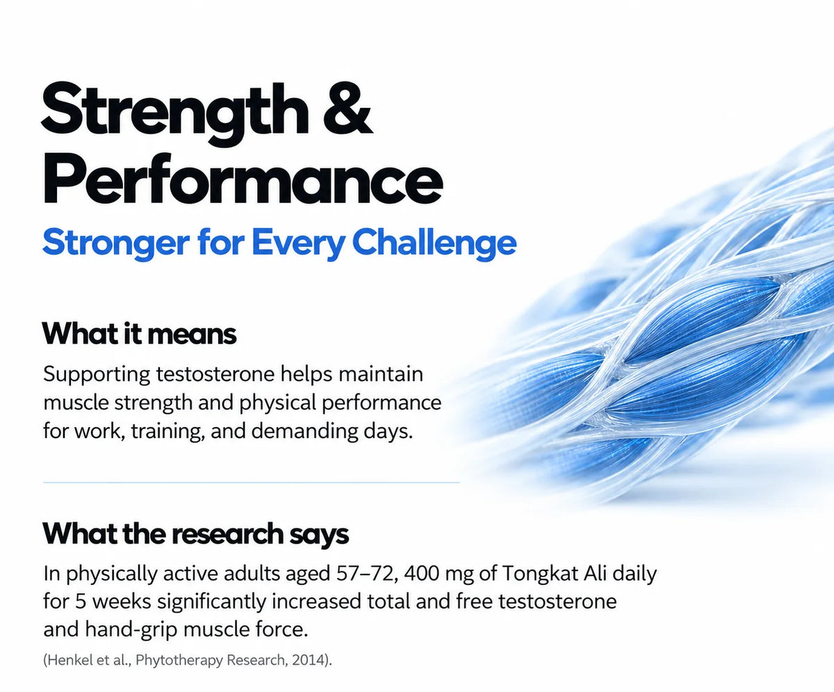  Strength & Performance