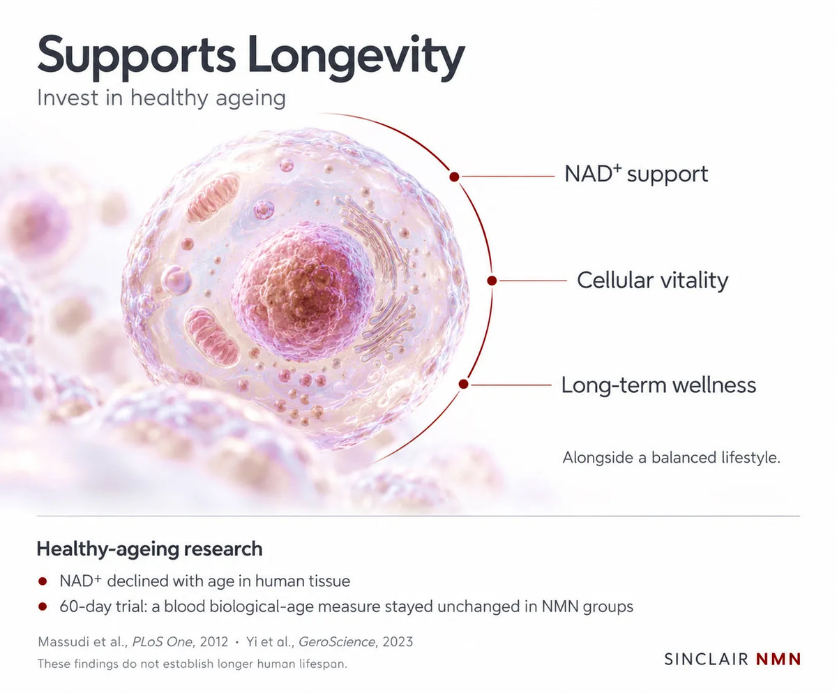 Long-Term Longevity