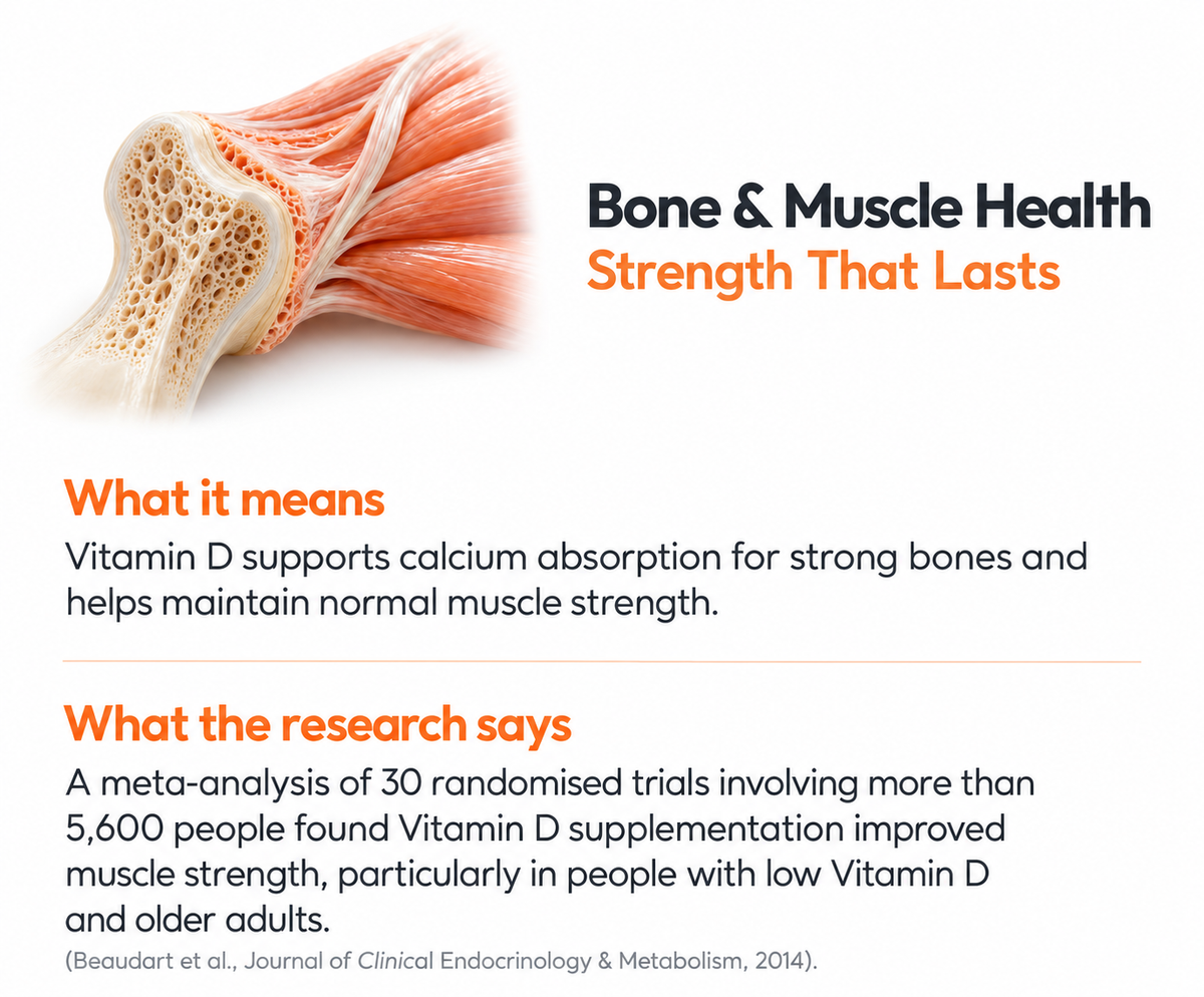 Bone & Muscle Health