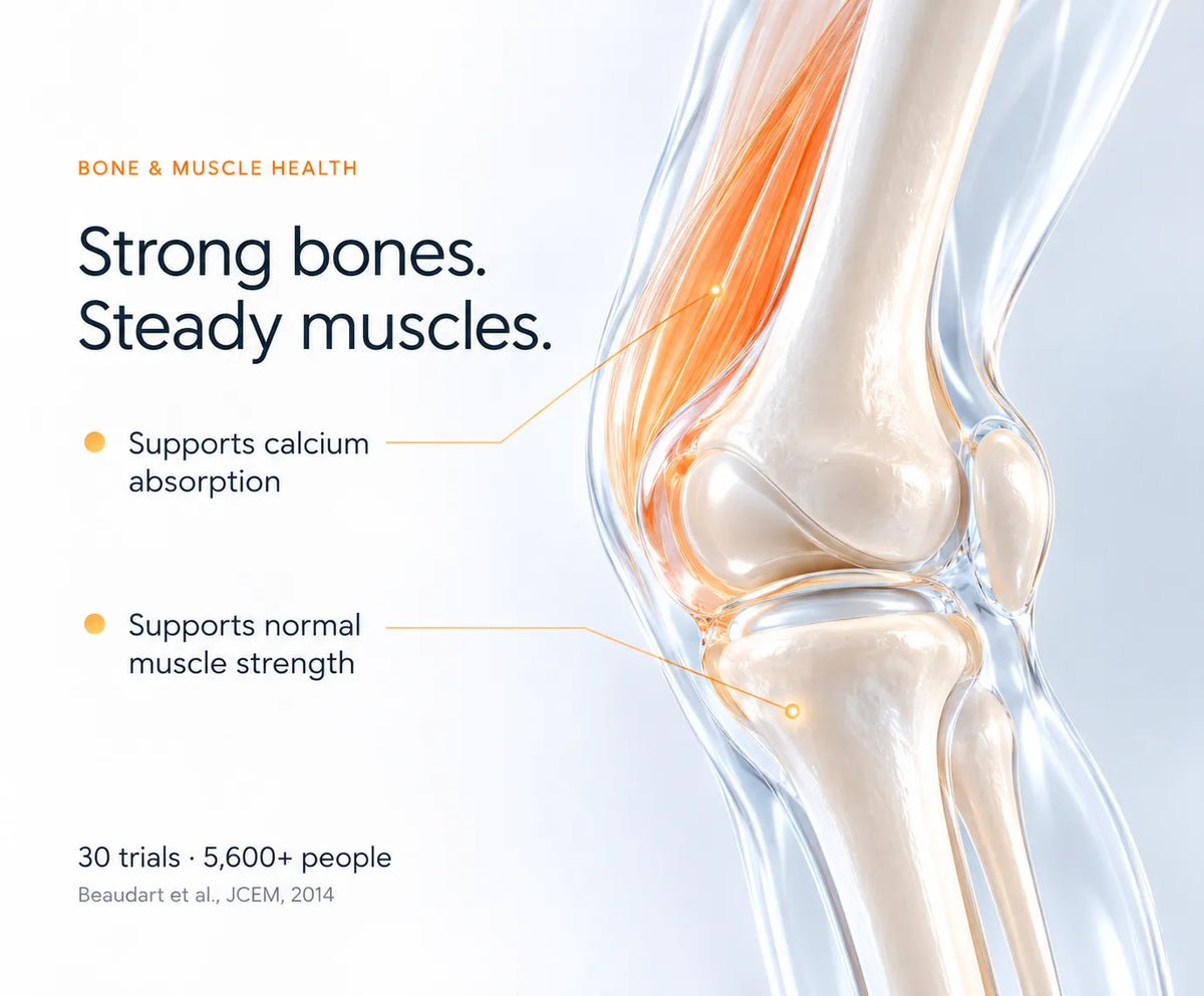 Bone & Muscle Health