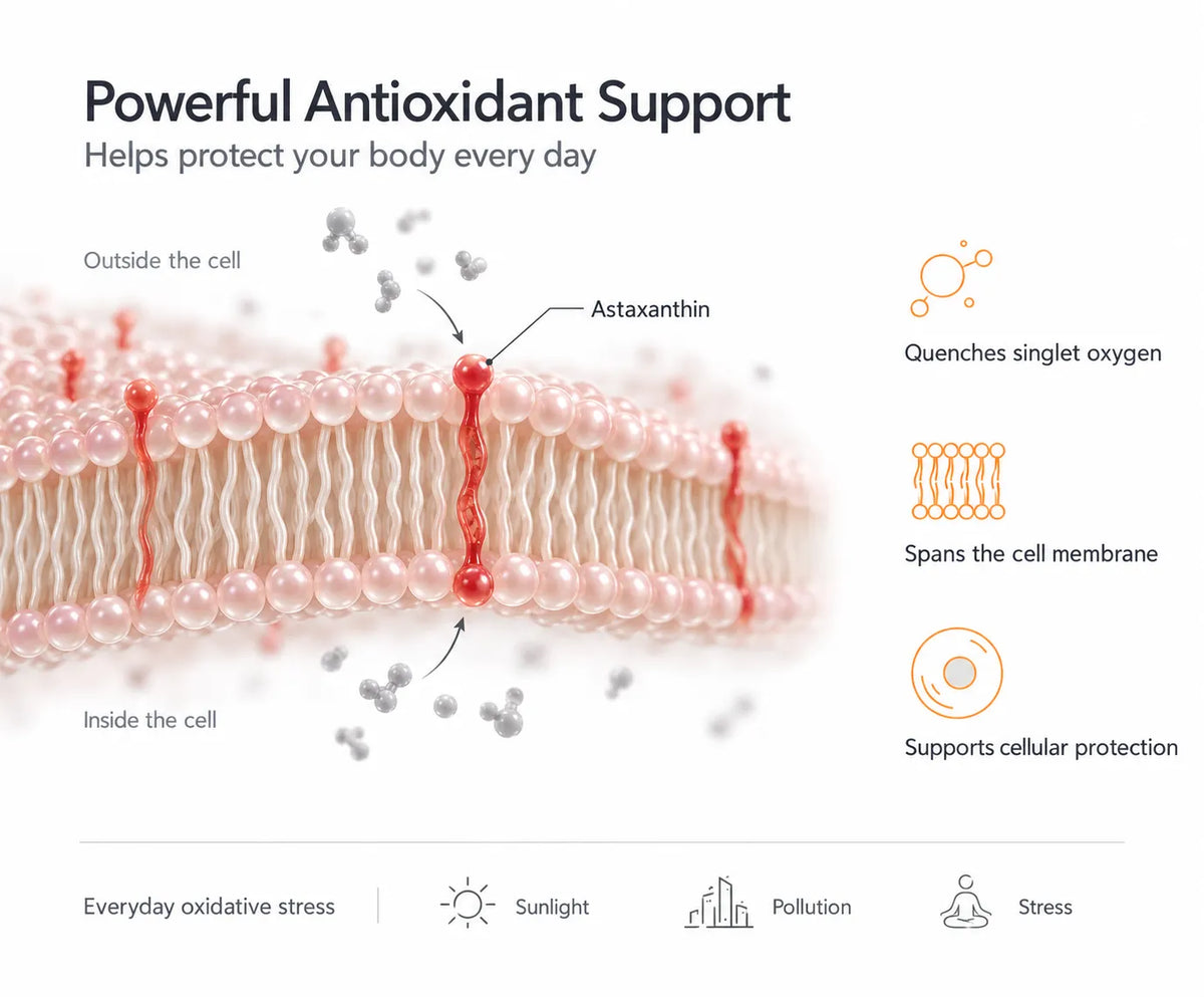 Oxidative Stress Defence