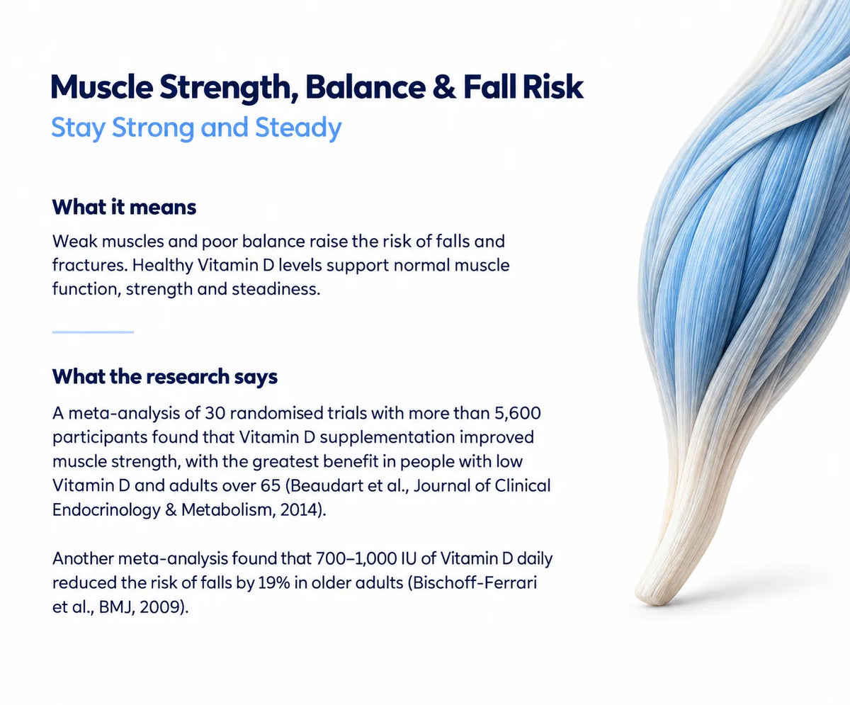 Muscle Strength, Balance & Fall Risk