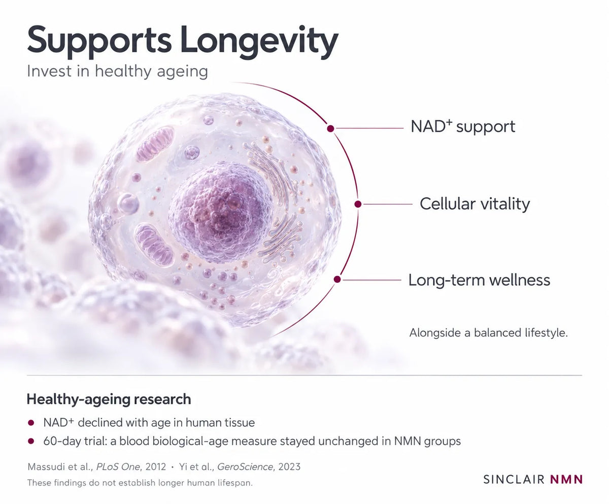 Supports Longevity