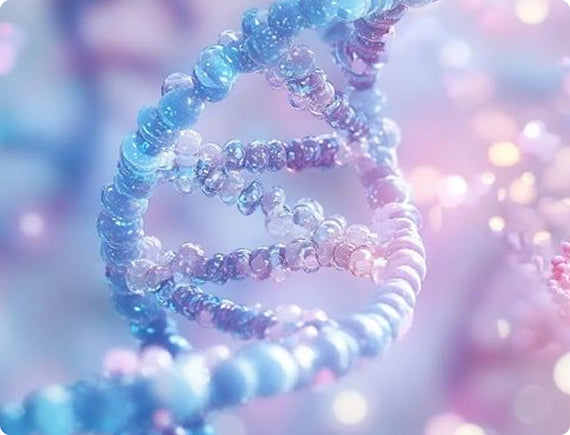 dna structure image